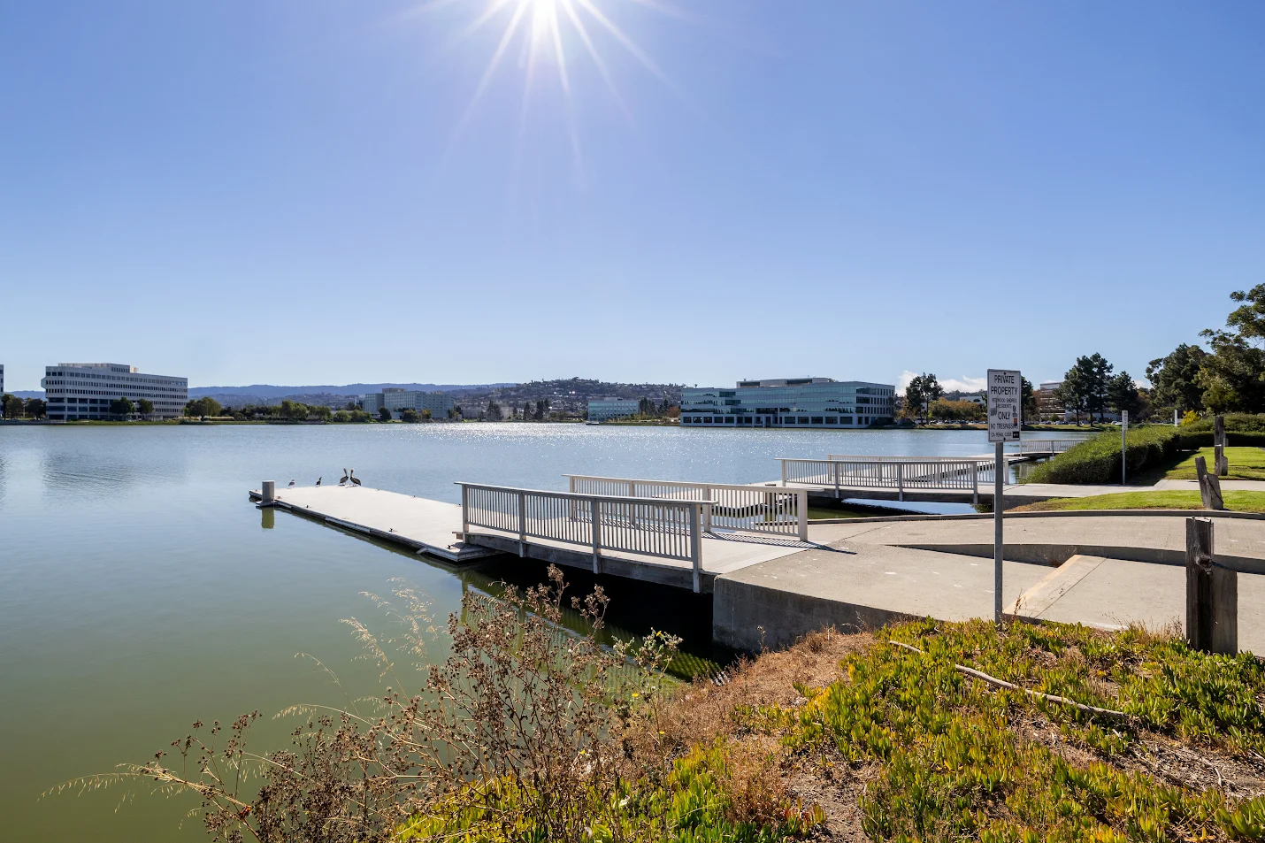Happy couple standing in front of their house