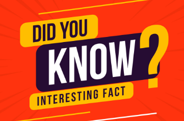 Signs of termite damage in California homes