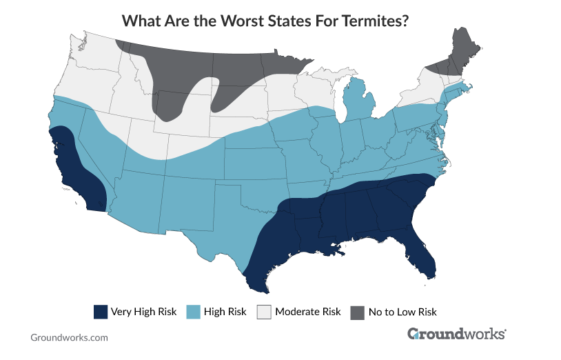 Preventing termite damage in San Mateo homes