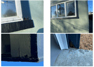 Pasted Image 0 5