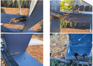 Pasted Image 0 6